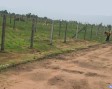 100 Sq. Mtr Residential Plot for Sale in Delta 3, Greater Noida