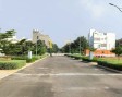 1200 Sq.Ft Plot For Sale in Bidadi Mysuru Road Bangalore