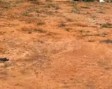 Plot For Sale in DLF Phase 3 Sector 24 Gurgaon