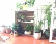 2 Bhk Apartment for Sale in Shreeyash Shree Woods Pune