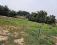 400 Acres Land For Sale in Tappal Jewar