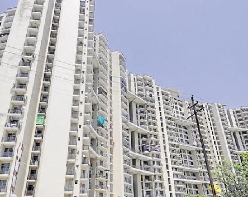 Pan Oasis 3 BHK Apartment 2400 Sq.ft