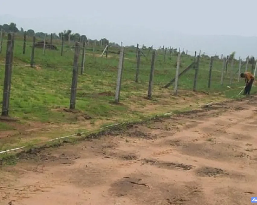 100 Sq. Mtr Residential Plot for Sale in Delta 3, Greater Noida
